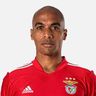 Joao Mario Profile Image