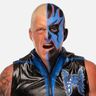 Dustin Rhodes Profile Image