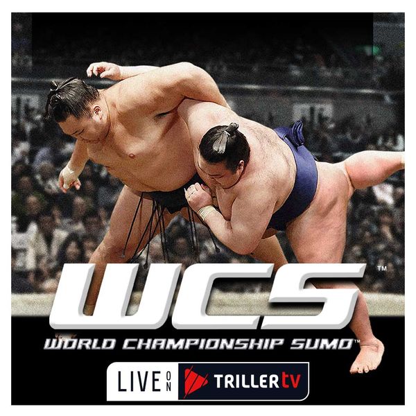 International Sumo League World Championship Sumo Official Free