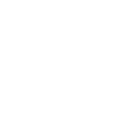 RISE World Series