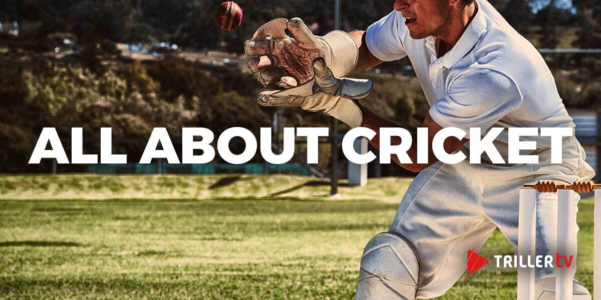 All About Cricket – A Primer for Fans